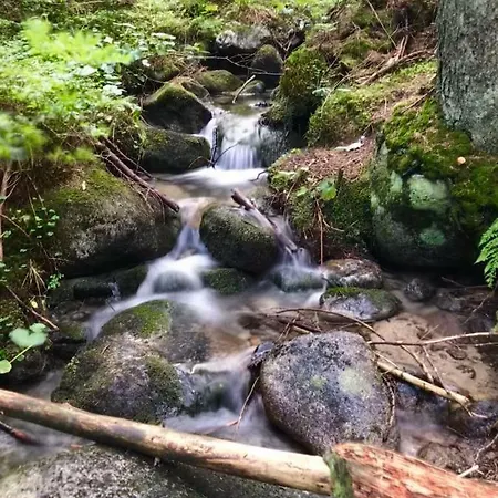 度假居 Wellness Totina Liptovský Mikuláš