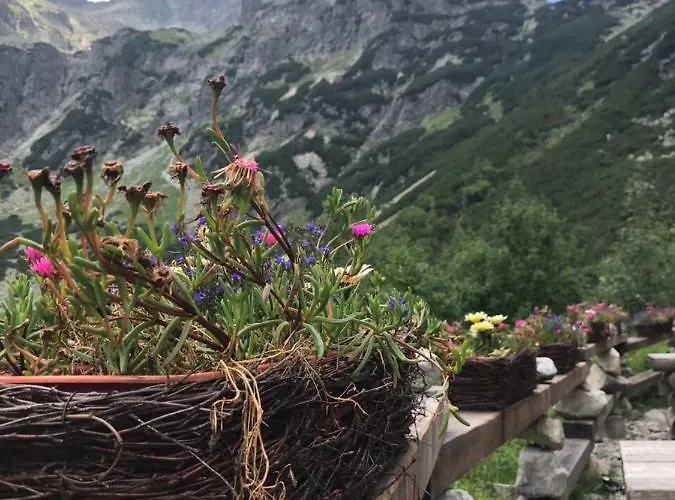 Nyaraló Wellness Totina *